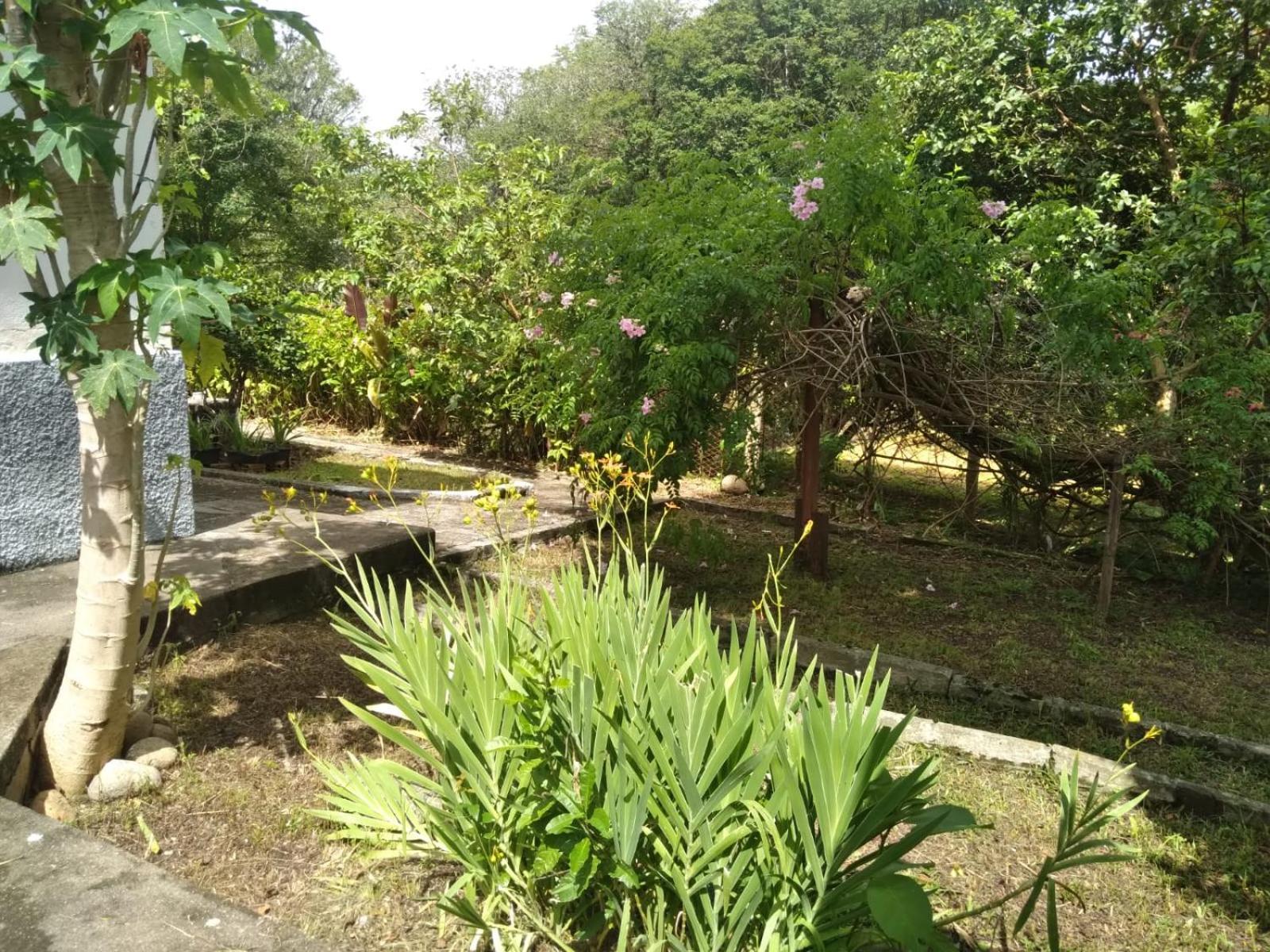 Casa Delicia Em Passa Quatro Ate 6 Pessoas Villa Exterior photo
